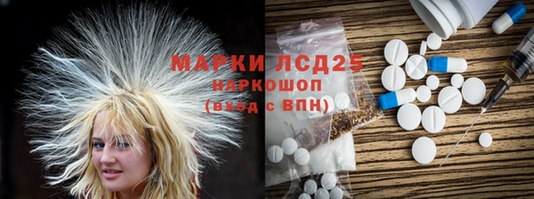 стаф Баксан